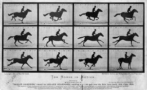 The_Horse_in_Motion_high_res
